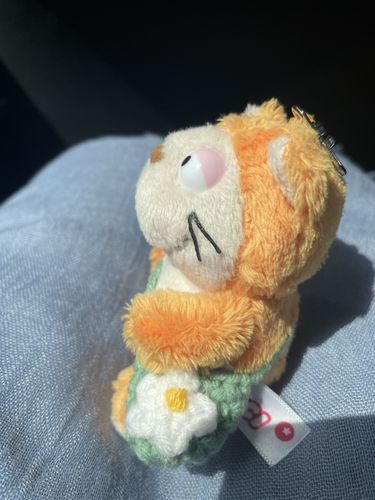 いい天気だねぇ☀️