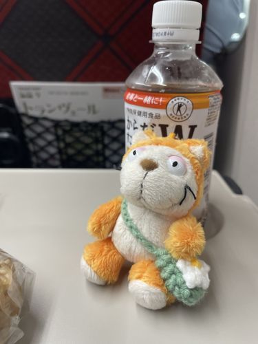 🚅今日はおでかけ