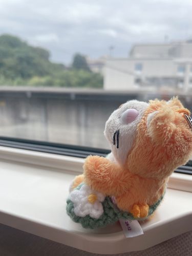 ポスト