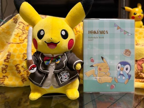 来年のスケジュール帳を買いました。
ピカチュウとポッチャマ可愛い！