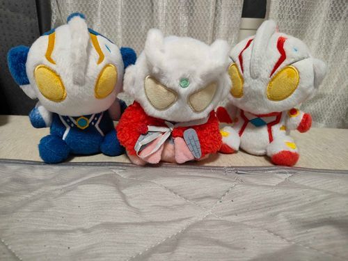 先輩ふわのメビウスとヒカリだ、やぬしがおれを迎える3年前からいっしょらしいぜ