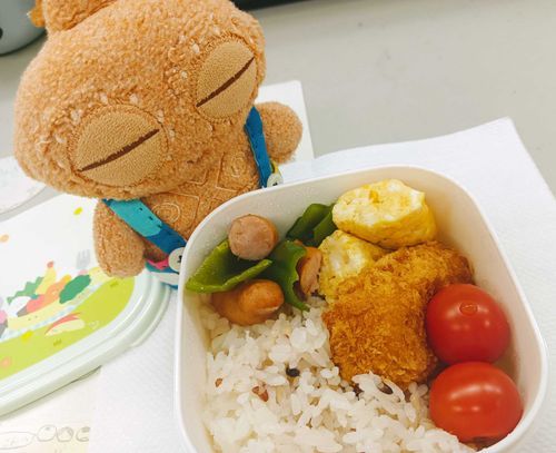 今日もたまごやき入ってるぽちゃ〜❣️

ってあれ？昨日とほとんど変わらないお弁当…？？
ご主人に聞いたら、こないだの夕ごはんの残りコロッケを消費しちゃいたいらしいぽちゃ。。