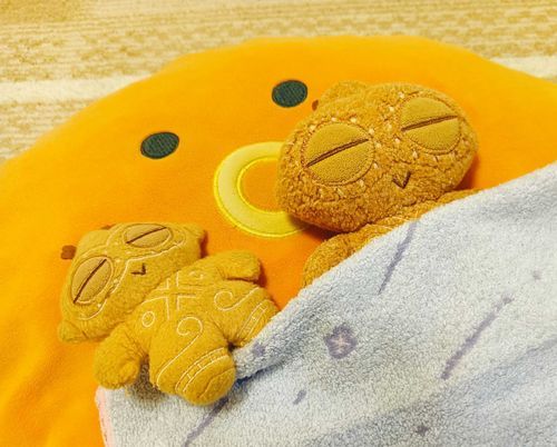 みんな、おつかれさまぽちゃ〜。。
おとうと〜、寝相わるすぎぽちゃ〜。。