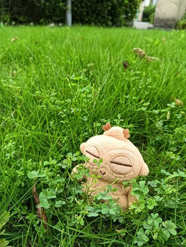 ぽちゃ（おとうと）だぽちゃ〜。
おやすみ中は、ご主人の実家にお泊まりにお出かけしてきたぽちゃ。
大草原〜！！🍀🍀🍀