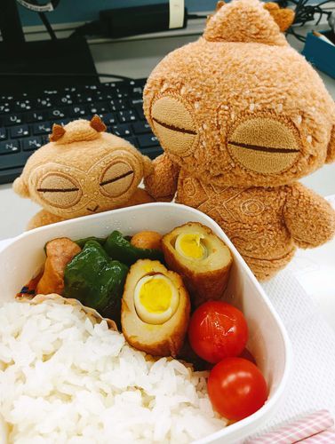 ２人そろって出勤してるぽちゃ。
今日のたまごは、うずら巻き〜🐣