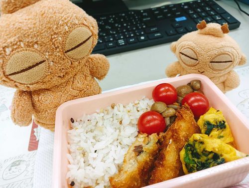 いつもと違うお弁当箱にしたら、量も入れ方も悩む〜ってご主人がいってたぽちゃ。
たしかに悩みがよく見える弁当ぽちゃ。。