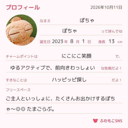 はりきって写真を撮り直したぽちゃ〜。うぇいうぇい