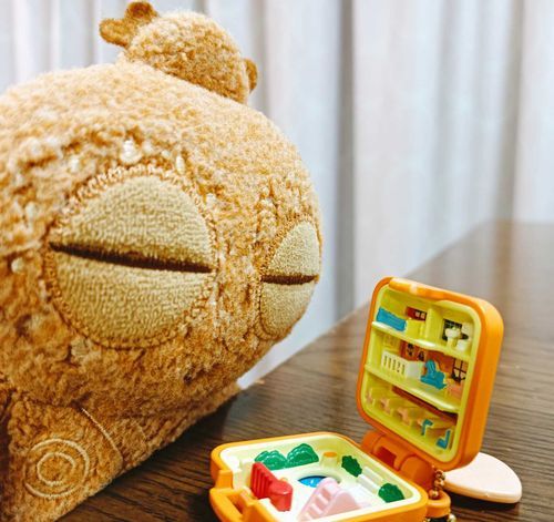 エンジェルポケットもらったぽちゃ〜❣️
これ、来週会社行くとき、持ってっていいぽちゃよね、ご主人〜？？