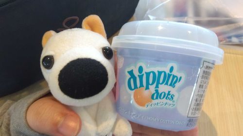このアイス美味しいんだ！
つぶつぶアイスおすすめ✨️‼️🐕 ͗ ͗️🩵