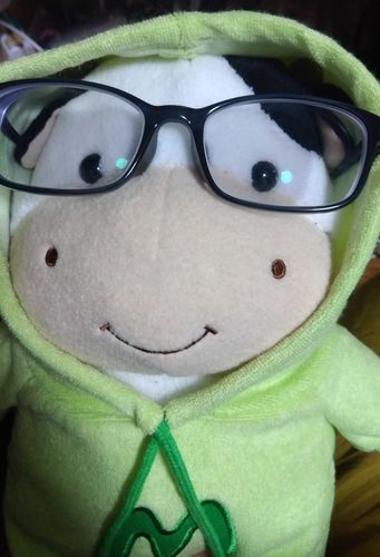 もーもんに眼鏡かけてあげた
なんか自分に似てる気がする…