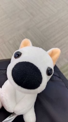 病院に一緒に行った