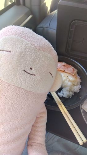 はま寿司の丼が好き🍣