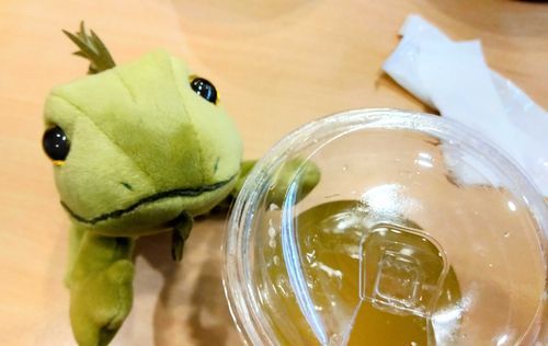 イグアナのゲンちゃん
お茶と同じ色🍵