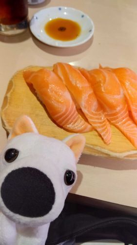 高いお寿司を食べた日🍣