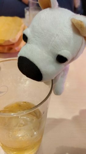 落ちそうで怖い