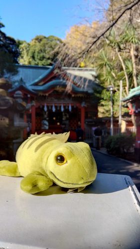 ミニゲンちゃんと江ノ島に行った日①