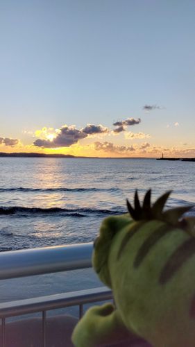 ミニゲンちゃんと江ノ島に行った日③