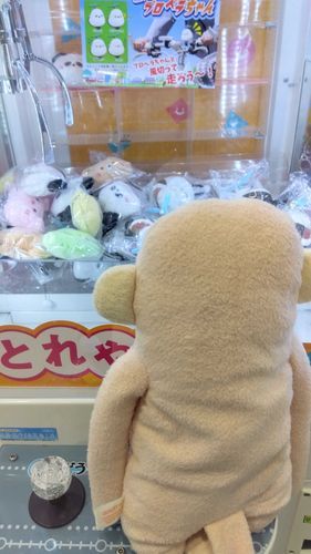 景品を欲しそうに見ていた日のもちゃ