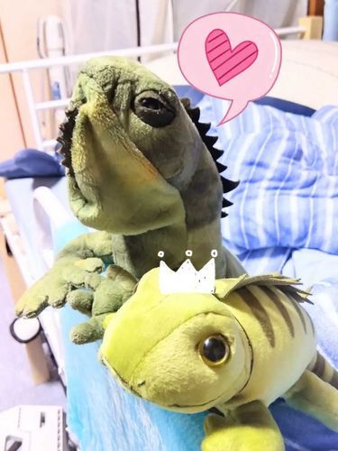 ゲンちゃんとミニゲンちゃんのツーショット