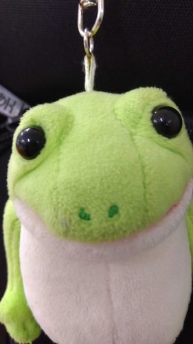 どアップしわしわ🐸
ちょっと今日は不服そう