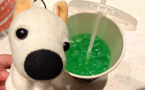人混み大変だった💦
でもメロンソーダ綺麗😍（🐶）