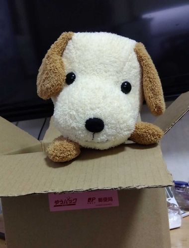 始めまして
ぷちポッケからお家に今日やってきた新しい子🐶🦴🧸
赤ちゃんみたいに頭カクカク動いて可愛いね😌♥️
今日からよろしく💐♥️