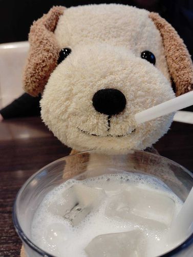 初めての外と始めてココイチだね
ラッシー美味しい！
