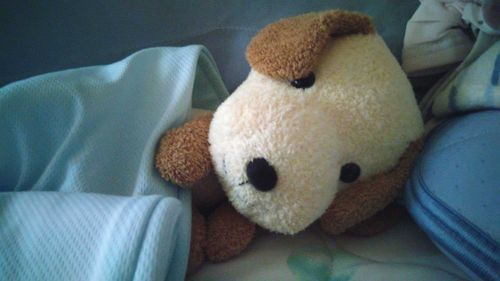 おはよう(  ¯꒳​¯ )ᐝまだねむいよー🐶😪