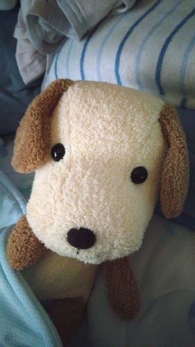 お布団から出ないといけないんですか？！🐶😲