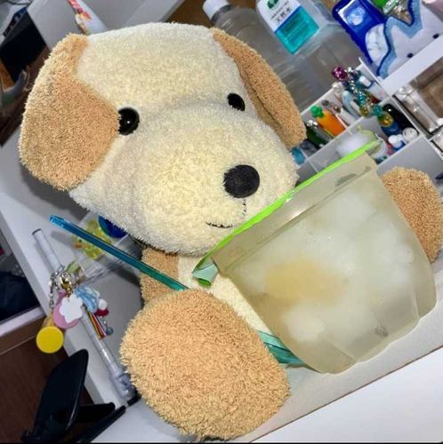 夜中にゼリー食べちゃう
タンタン君🐶😋
