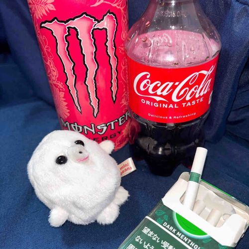 これは知っていますよ。
身体に良くないものたち達ですね。
やれやれ、全く…。困ったお嬢さんだ。今のうちに隠しちゃいましょうか…。
