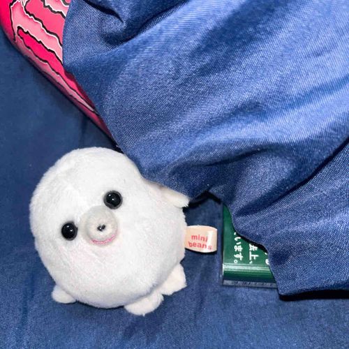 隠しているところを見つかってしまいました……！
駄目です、いけません…。これは身体に良くないです…！良くないのに……！
はぁ…人間さんというのは興味深いですね。