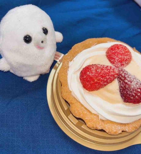 え？これはなんでしょう？
「お祝いのケーキ」…？
「すめしさんがこの家に来てくれたから」…？
僕のために用意して下さったんですか…？ふふ、ありがとう。ゆっくり味わっていただきますね。
これから、楽しい毎日が待っているようですね。
