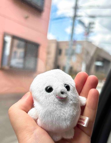 ごきげんよう。
今日は車に乗っておでかけです。
どこに連れて行ってくれるのでしょうか……。
社内は音楽が流れていて、楽しいですね。のりのりですよ〜。