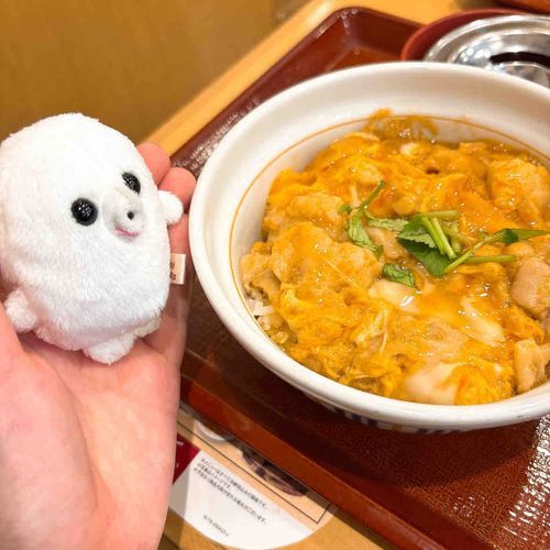 なかたまご……？あ、なかう、ですか。
親子丼というのですね。由来はなんでしょう？え？聞かない方がいい？
…分かりました。
美味しかったです。ご馳走様でした。