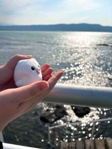 わぁ！お嬢さん！見てください！海ですよ！海…！はっ、年甲斐もなくはしゃいでしまいました。これは見なかったことに…。