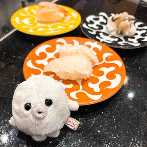 回転寿司に来ましたよ。
え？このお魚の下にあるのが"すめし"というんですか？
確かに……大きさが少し似ているかも知れませんね。
パヤ毛さんにおすすめして頂いたえんがわもとても美味でした。ありがとうございます。