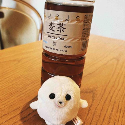 連休明けでぐったりしていましたが起きられてえらいですね。お仕事、頑張りましょうね。
皆さんも、自分のペースでゆったり行きましょう。