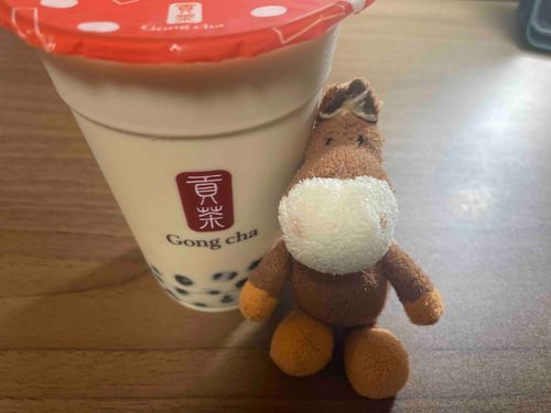 タピオカふと飲みたくなる🧋