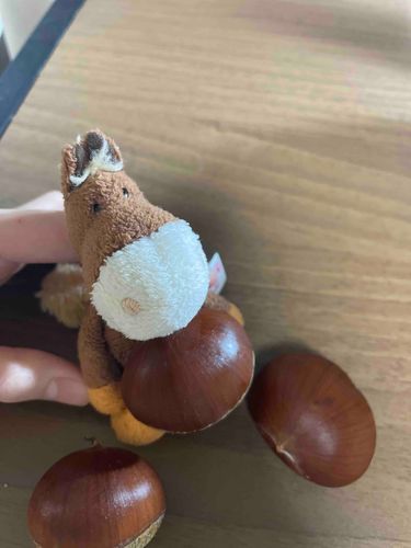 栗の季節🌰