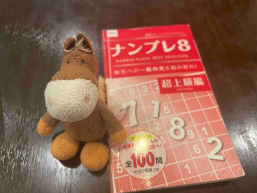 ナンプレ好き💓