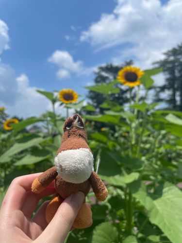 あまりにも夏🌻☀️