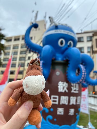 ようやく日間賀島に行けました！