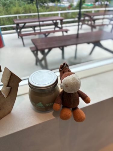 ほうじ茶ぷりん