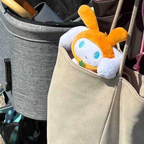 バッグからひょっこり