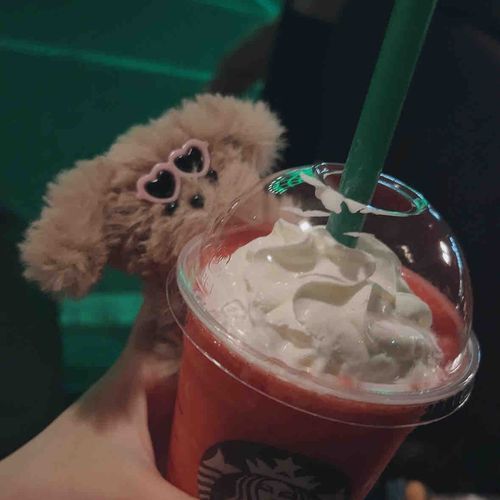 飼い主、スタバよく行くね！