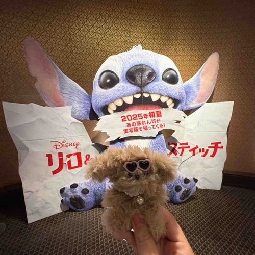 すてぃっち〜！！！みんなおはな！！！