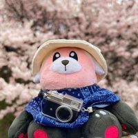 ももぐま