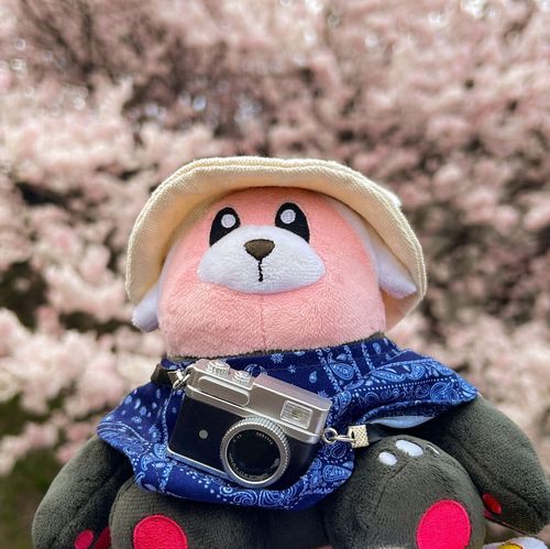 主さんと全国行脚しながら写真撮影してます🧸