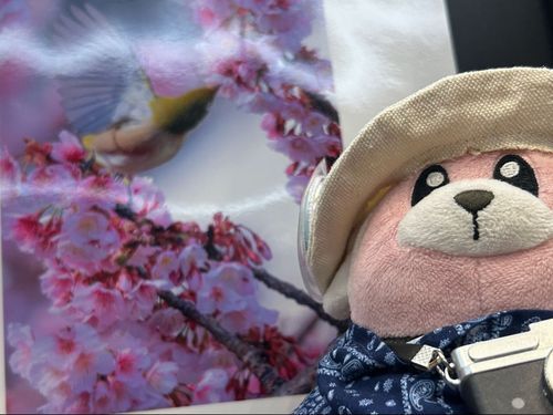 写真展デビューと言いながらすごいのを出してるな主さん…。